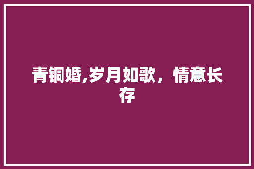 青铜婚,岁月如歌，情意长存 范文之家
