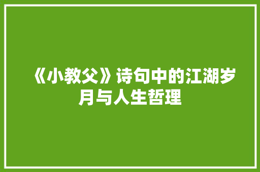 《小教父》诗句中的江湖岁月与人生哲理 优秀范文