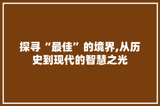 探寻“最佳”的境界,从历史到现代的智慧之光 范文资源