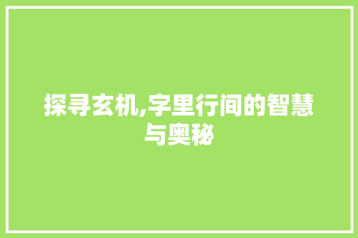 探寻玄机,字里行间的智慧与奥秘