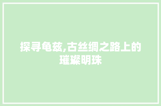 探寻龟兹,古丝绸之路上的璀璨明珠 合同协议