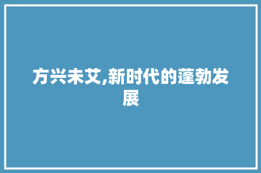方兴未艾,新时代的蓬勃发展 职场应用