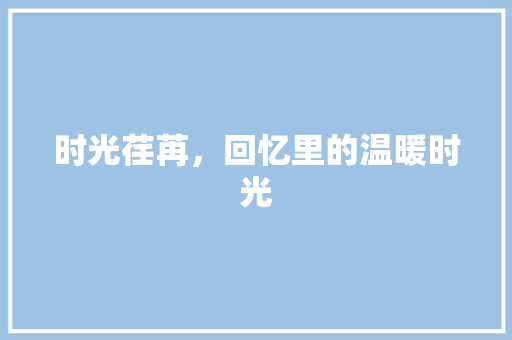 时光荏苒，回忆里的温暖时光 商业计划书范文