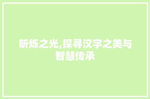 昕烁之光,探寻汉字之美与智慧传承 范文之家