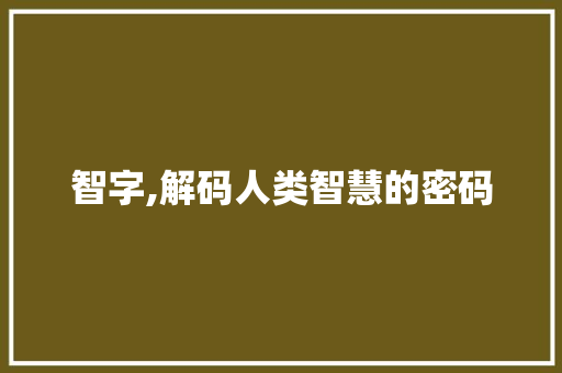 智字,解码人类智慧的密码