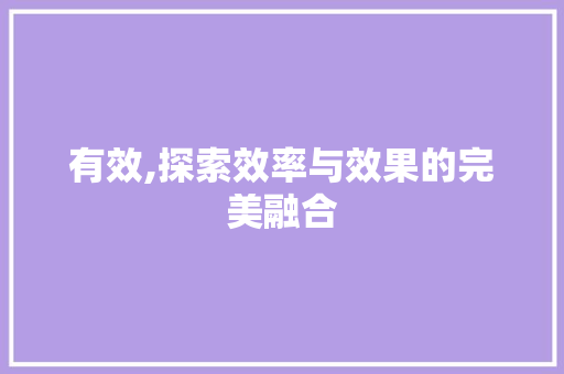 有效,探索效率与效果的完美融合