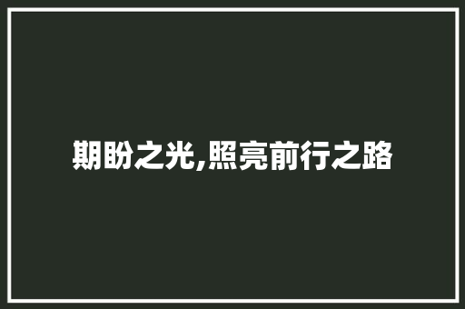 期盼之光,照亮前行之路 合同协议