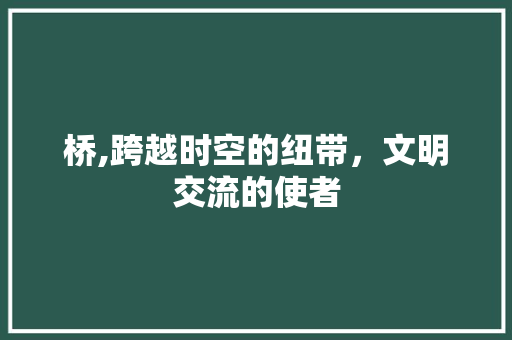 桥,跨越时空的纽带，文明交流的使者 商业计划书范文