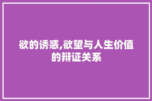 欲的诱惑,欲望与人生价值的辩证关系 商业计划书范文
