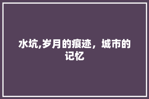 水坑,岁月的痕迹，城市的记忆