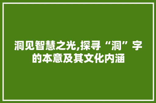 洞见智慧之光,探寻“洞”字的本意及其文化内涵 范文之家