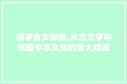 湛字金文探微,从古文字中领略中华文化的博大精深