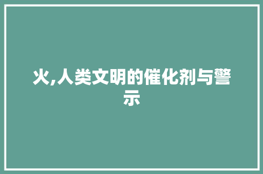 火,人类文明的催化剂与警示