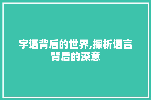 字语背后的世界,探析语言背后的深意