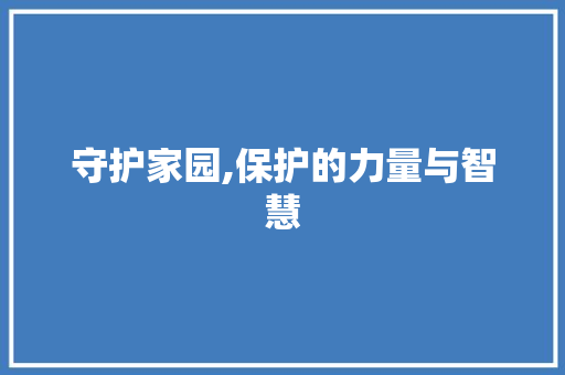 守护家园,保护的力量与智慧 商业计划书范文