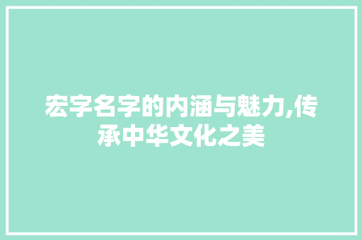 宏字名字的内涵与魅力,传承中华文化之美