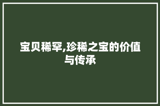 宝贝稀罕,珍稀之宝的价值与传承