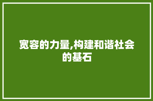 宽容的力量,构建和谐社会的基石