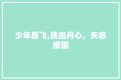少年岳飞,铁血丹心，矢志报国