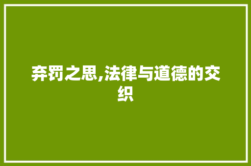 弃罚之思,法律与道德的交织 范文精选网