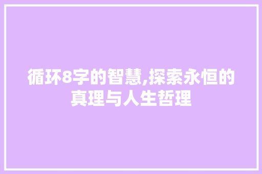 循环8字的智慧,探索永恒的真理与人生哲理