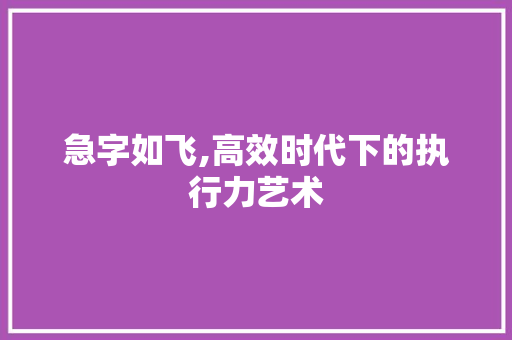 急字如飞,高效时代下的执行力艺术 范文之家