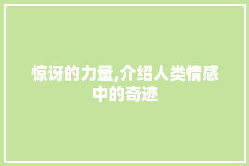 惊讶的力量,介绍人类情感中的奇迹