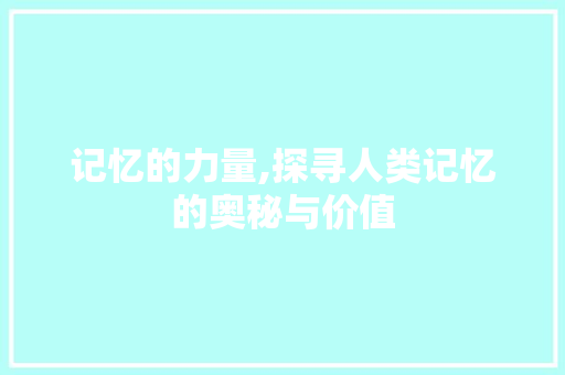 记忆的力量,探寻人类记忆的奥秘与价值