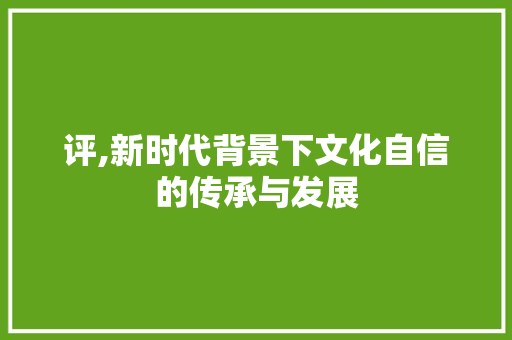 评,新时代背景下文化自信的传承与发展 职场应用