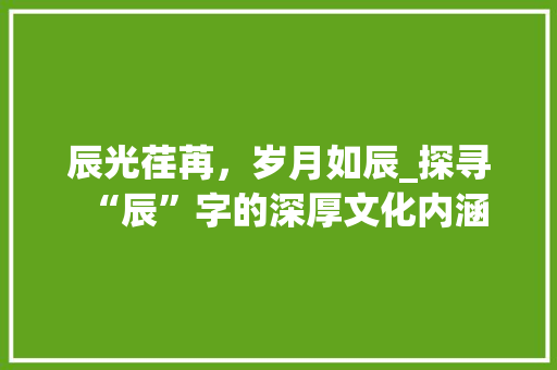 辰光荏苒，岁月如辰_探寻“辰”字的深厚文化内涵