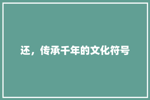 还，传承千年的文化符号