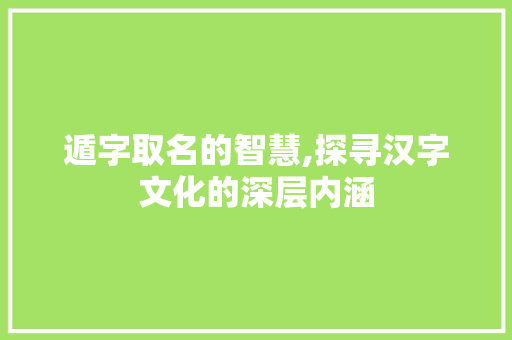 遁字取名的智慧,探寻汉字文化的深层内涵