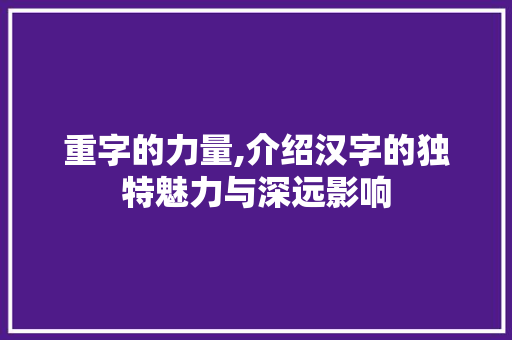 重字的力量,介绍汉字的独特魅力与深远影响