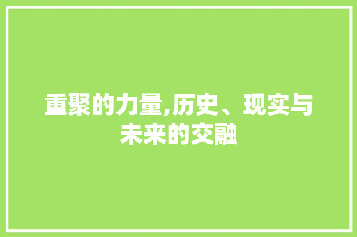 重聚的力量,历史、现实与未来的交融