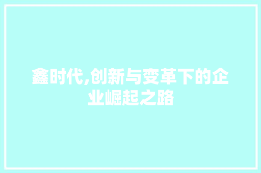 鑫时代,创新与变革下的企业崛起之路