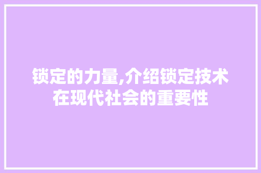 锁定的力量,介绍锁定技术在现代社会的重要性