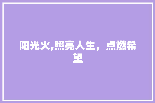 阳光火,照亮人生，点燃希望