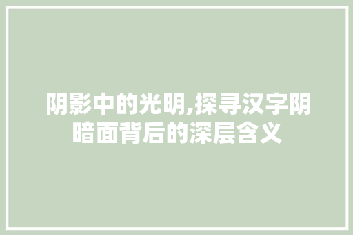 阴影中的光明,探寻汉字阴暗面背后的深层含义 范文之家