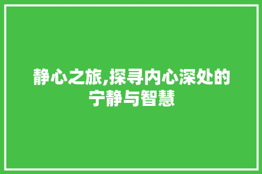 静心之旅,探寻内心深处的宁静与智慧