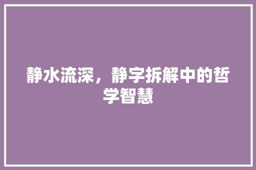 静水流深，静字拆解中的哲学智慧 职场应用