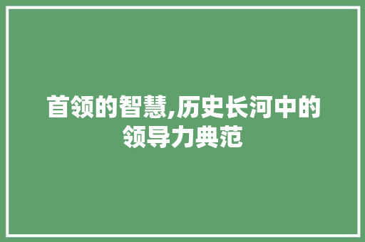 首领的智慧,历史长河中的领导力典范 商业计划书范文