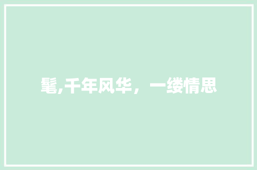 髦,千年风华，一缕情思 优秀范文