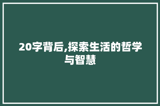 20字背后,探索生活的哲学与智慧