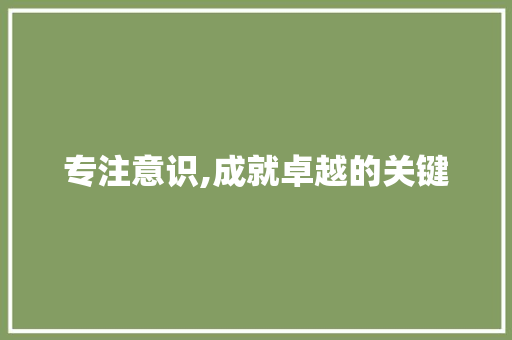 专注意识,成就卓越的关键 商业计划书范文