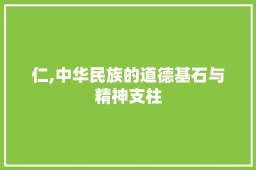 仁,中华民族的道德基石与精神支柱