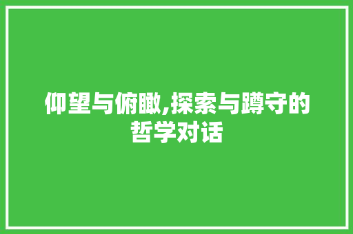 仰望与俯瞰,探索与蹲守的哲学对话 范文资源
