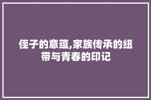 侄子的意蕴,家族传承的纽带与青春的印记 范文精选网