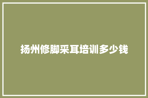 扬州修脚采耳培训多少钱