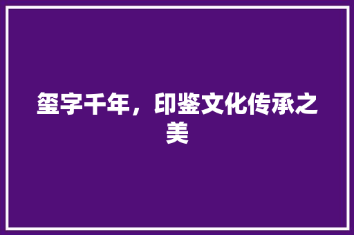 玺字千年，印鉴文化传承之美