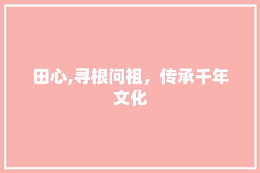 田心,寻根问祖，传承千年文化 合同协议